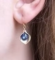 Silver leaf with Blue  Earrings