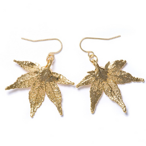 Japanese Maple Earrings - Gold